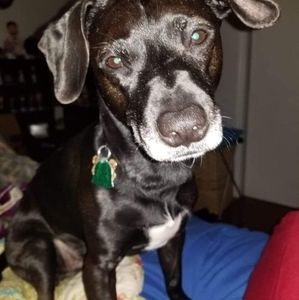 Meet your Posher, Tammy